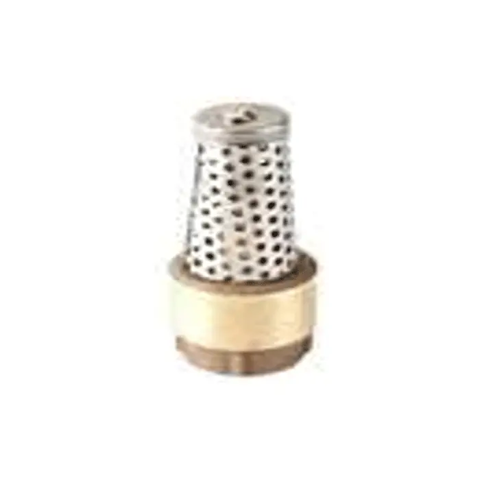 Clayton Cast Iron Foot Valve For Vertical Pumps 1