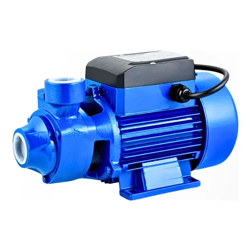 Dayuan Dkm60-1B 0.5Hp Submersible-Free Water Pump 1