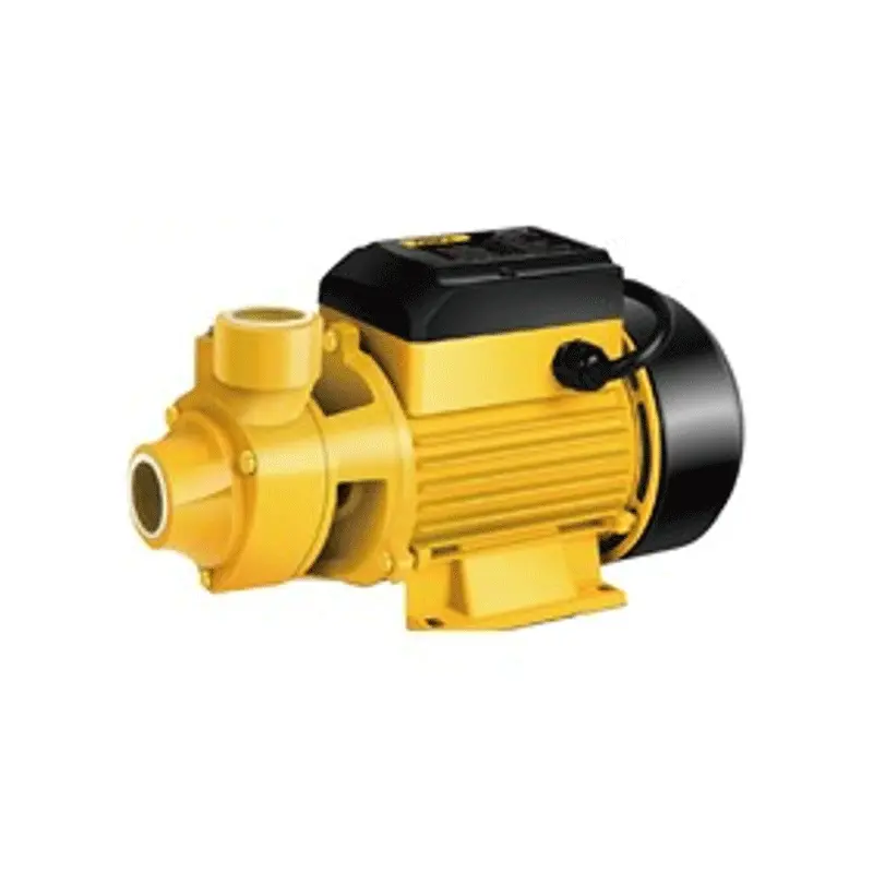 Deli Edl-Wzb750-E1 1 Hp High-Performance Peripheral Pump 1
