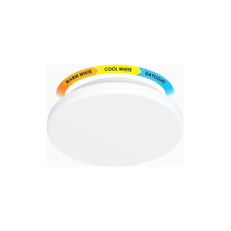 Firefly Classic-Design Functional Led Ceiling Lamp 1