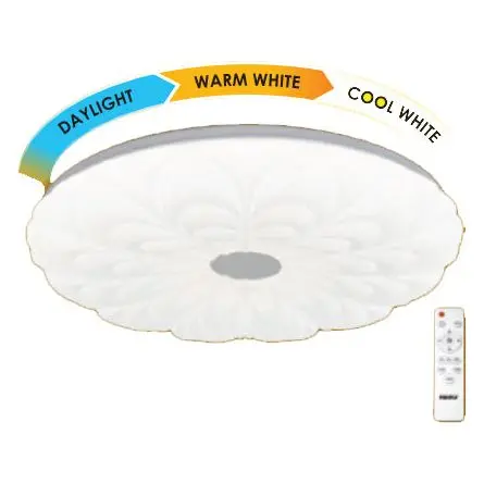 Firefly Daisy Led Ceiling Light With Wireless Remote 1