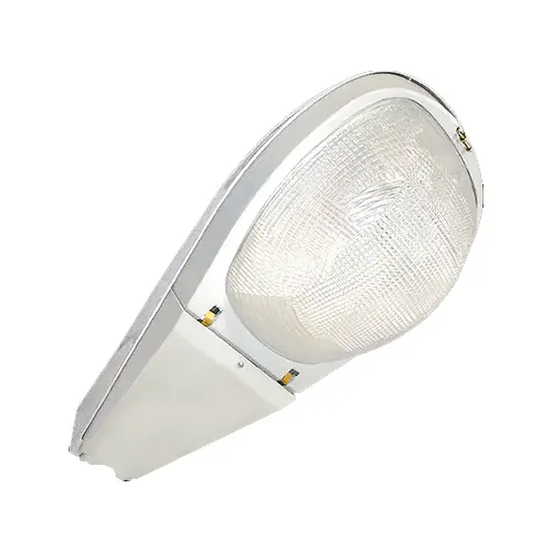 Firefly Flsrl250 Hps Road Lighting Fixture – 250W High-Intensity Streetlight 1