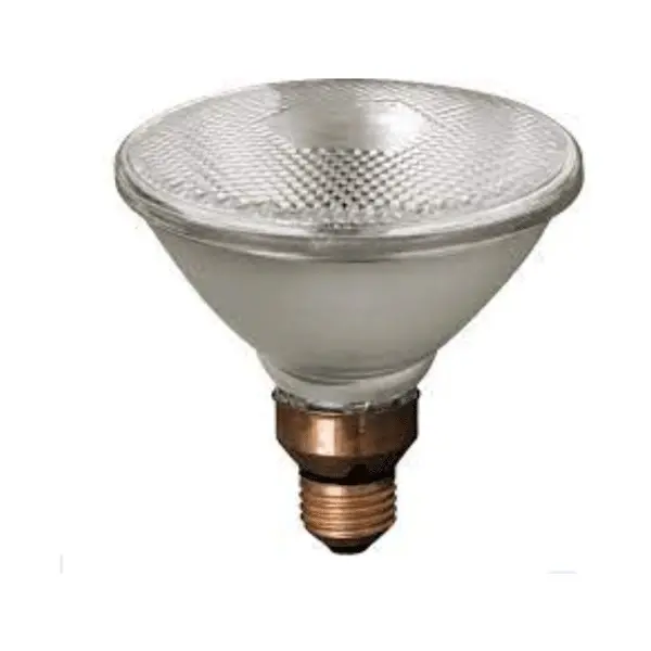 Firefly Par38 Halogen Floodlight Bulb 1