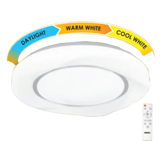 Firefly Shell-Style Led Ceiling Lamp With Remote Control 1