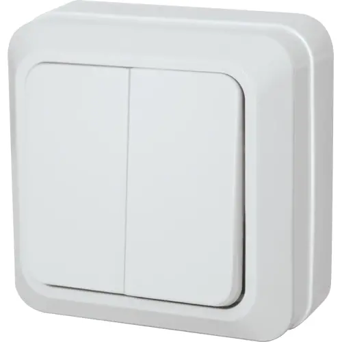 Royu Redsw202 Two-Gang Toggle Switch – 10A Dual-Circuit Home Installation 1